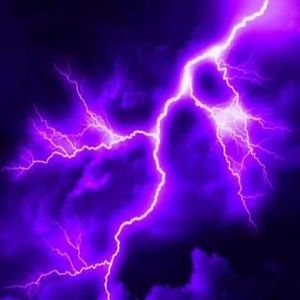 Meet your Posher, Modibo